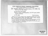 Image Associated With the Occurence